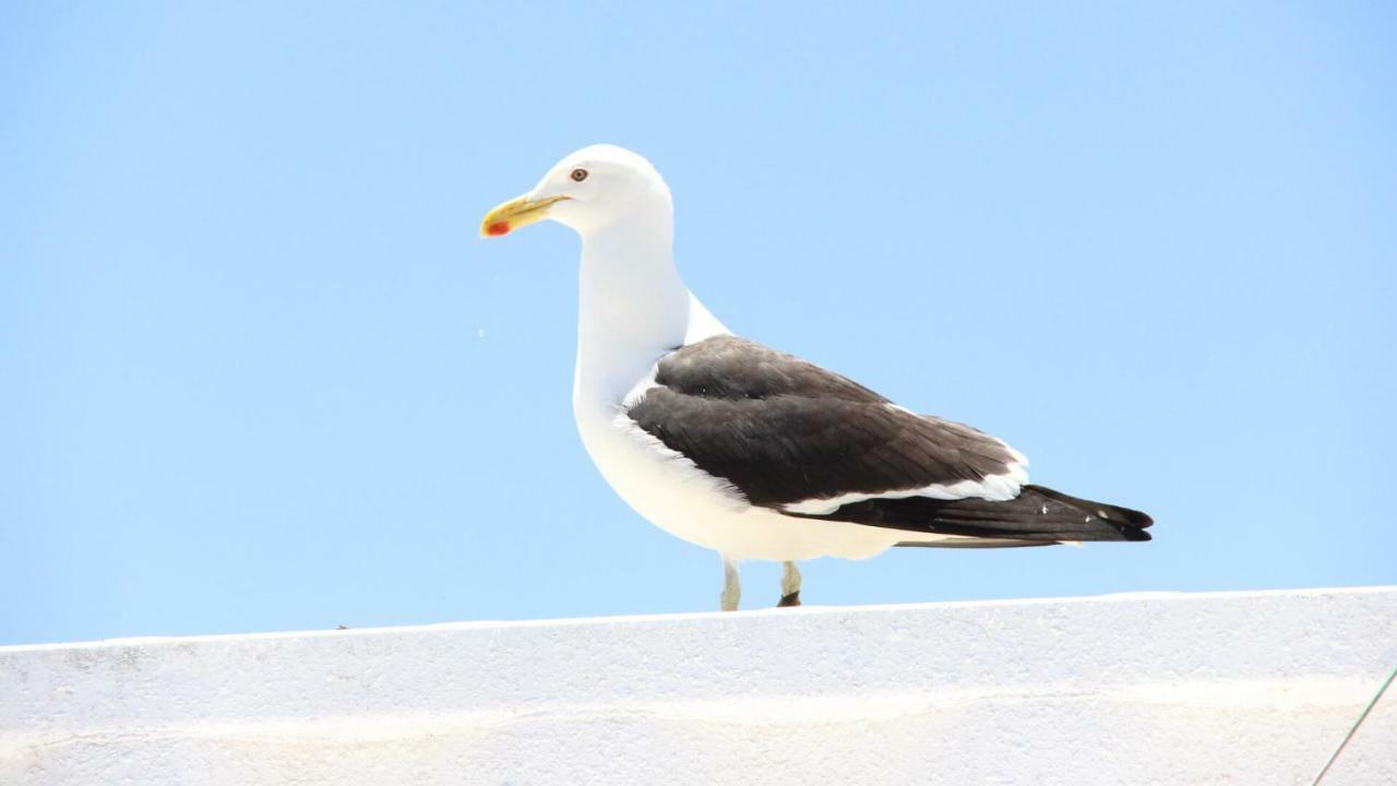 ナザレ Casa Do Mar -Sea Houseヴィラ エクステリア 写真